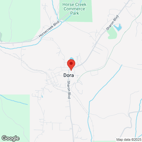 sell-my-phone-dora-al-12888 map